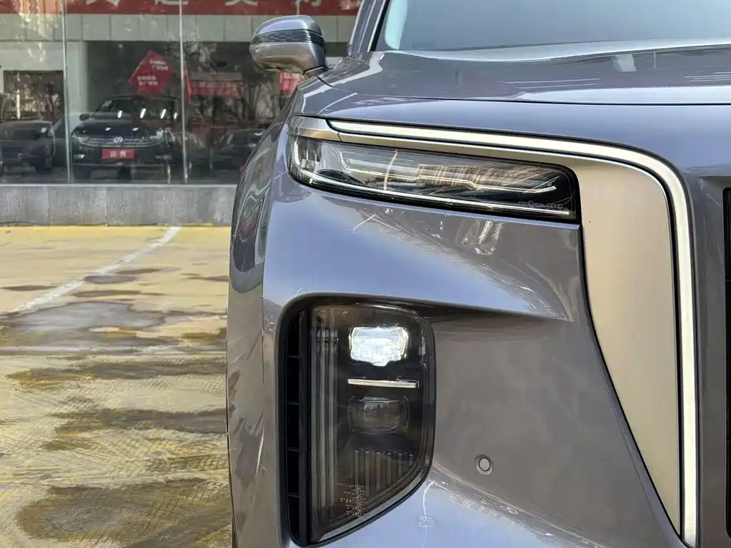 Hongqi HONGQI E HS9