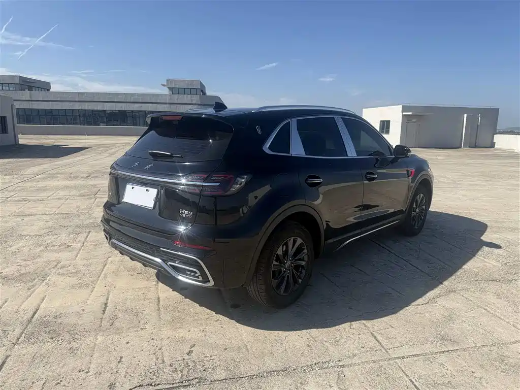 Hongqi Hongqi HS5 — миниатюра 9