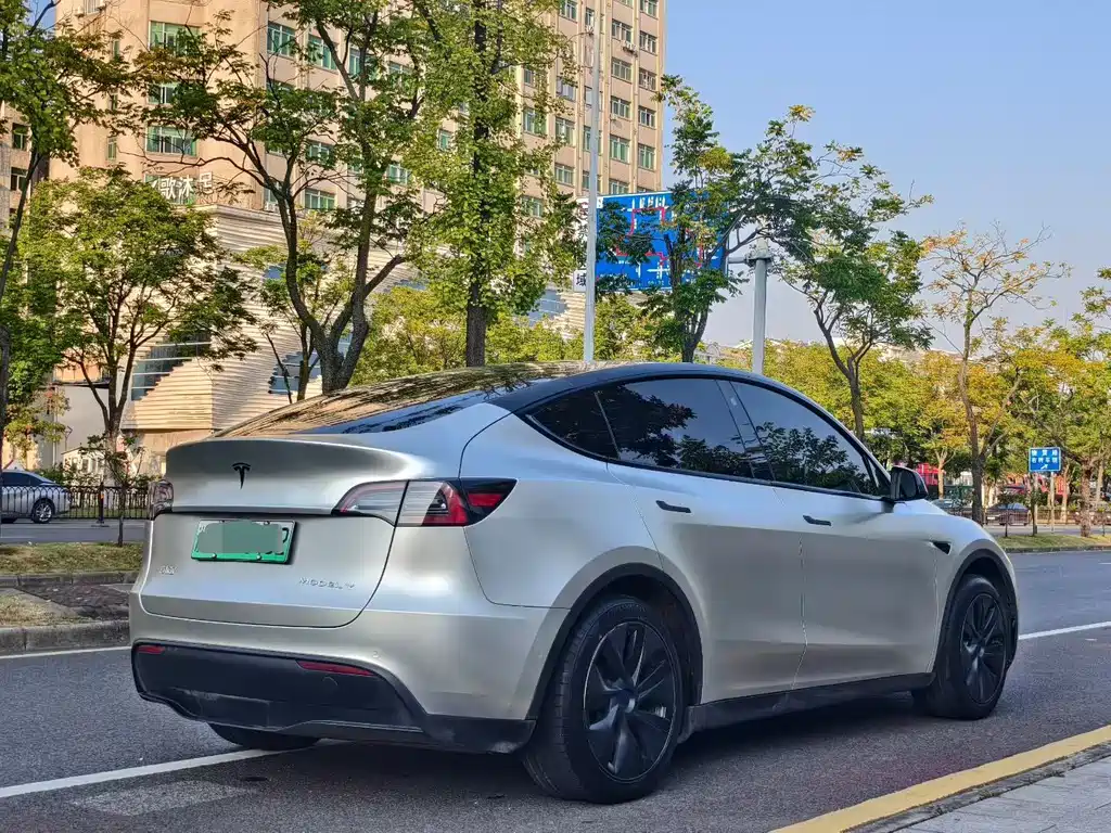 Tesla Model Y — миниатюра 9