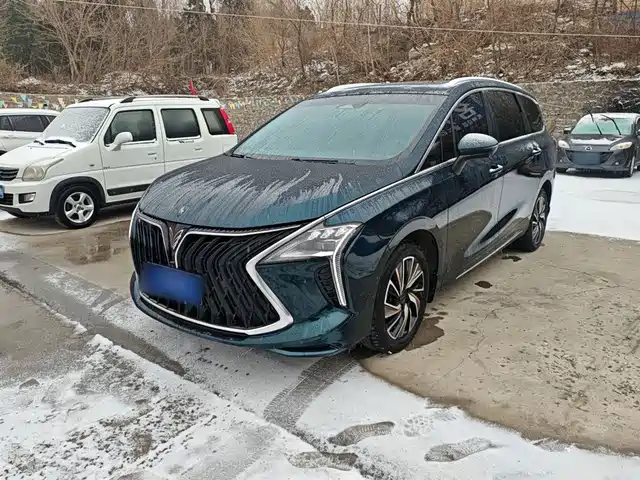 DONGFENG POPULAR YACHTS