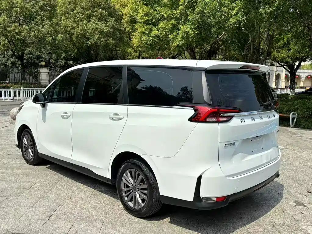 MAXUS G50 — миниатюра 12