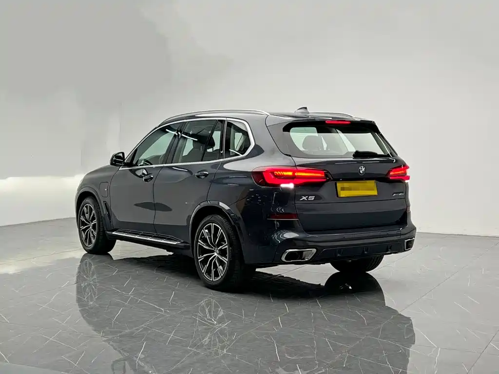 BMW X5 New Energy (Import) — миниатюра 4