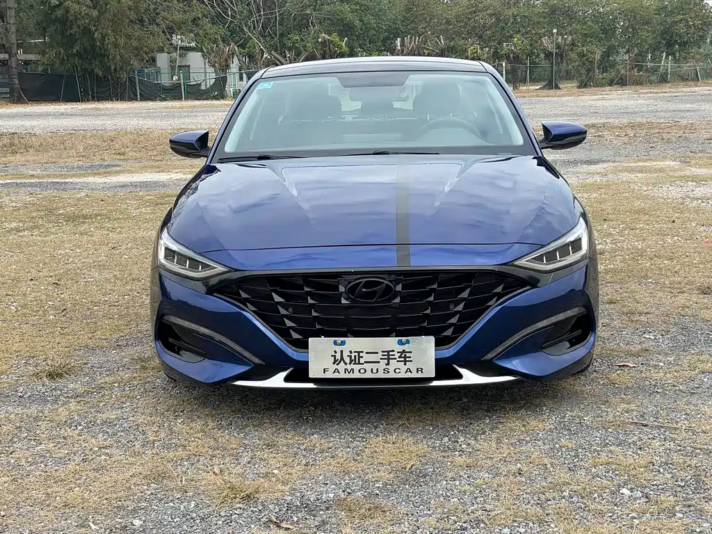 Hyundai Fista — миниатюра 2