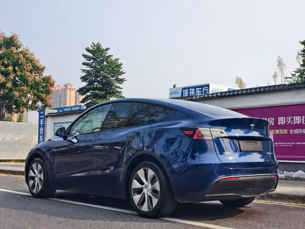 Tesla Model Y — миниатюра 7