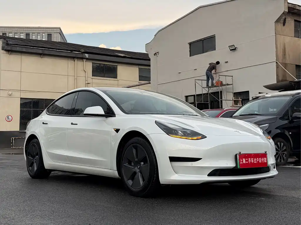 Tesla Model 3 — миниатюра 3