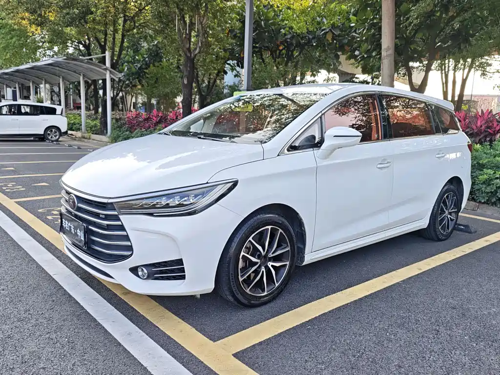 Byd MAX 2018