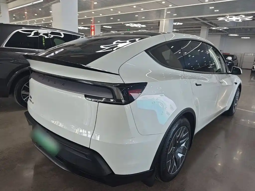 Tesla Model Y L — миниатюра 5