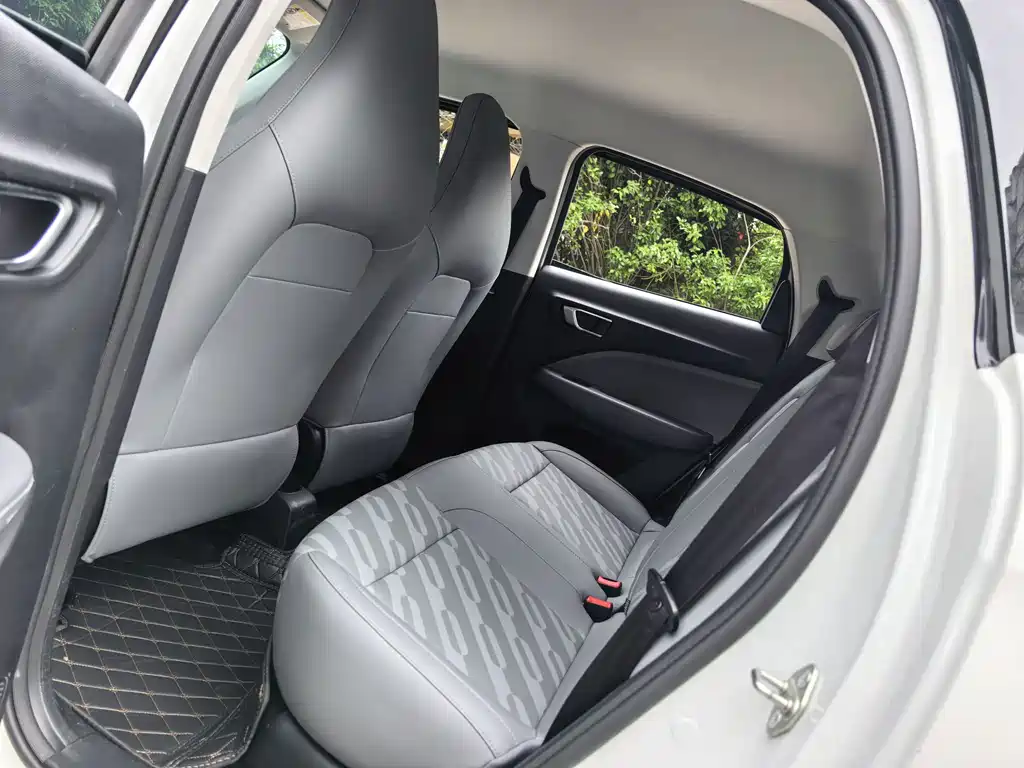 Leapmotor T03 2025 310