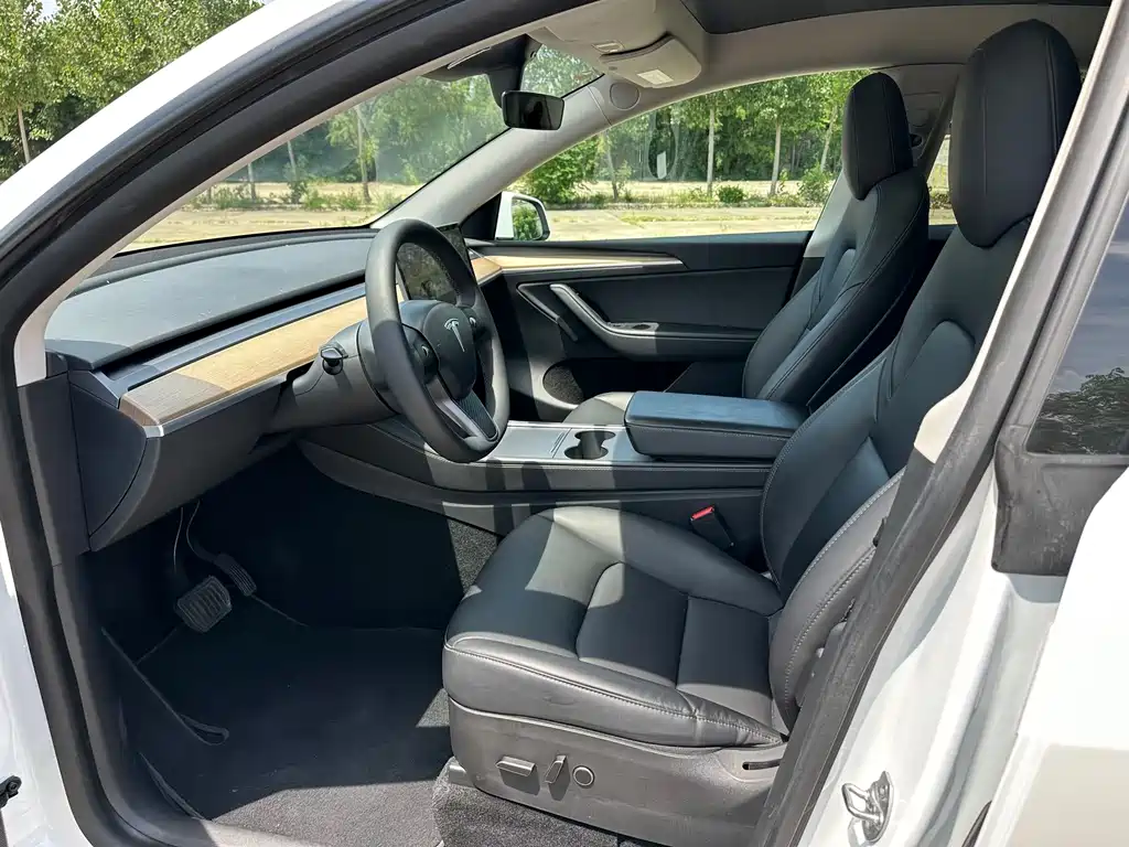 Tesla Model Y — миниатюра 7