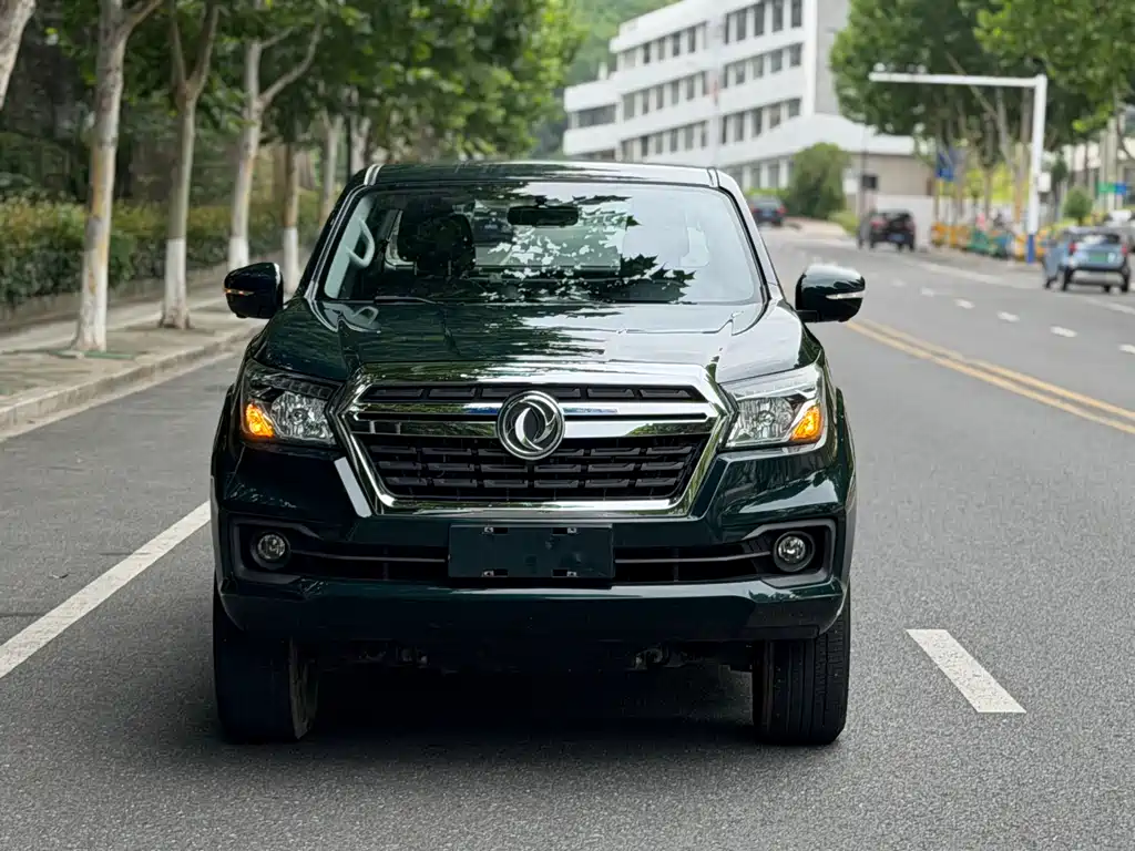 Dongfeng Rich 6 Pro - фото 2