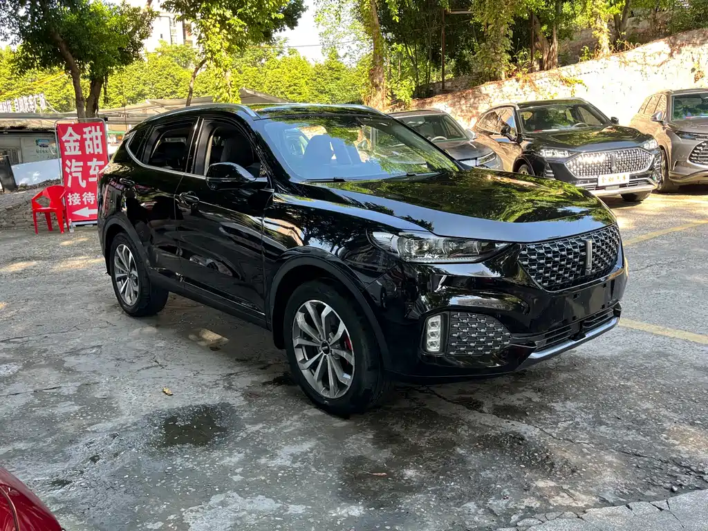 Wey Wey VV6 — миниатюра 7