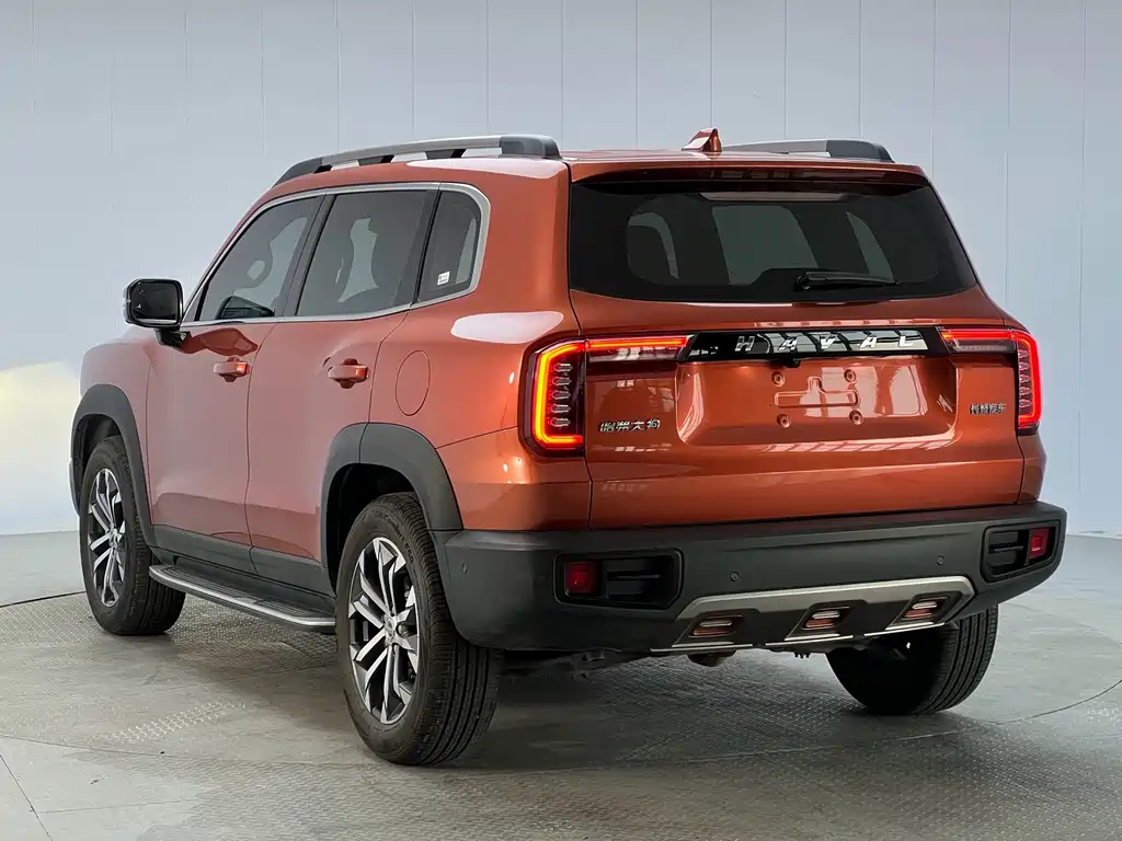 Haval Big Dog — миниатюра 15
