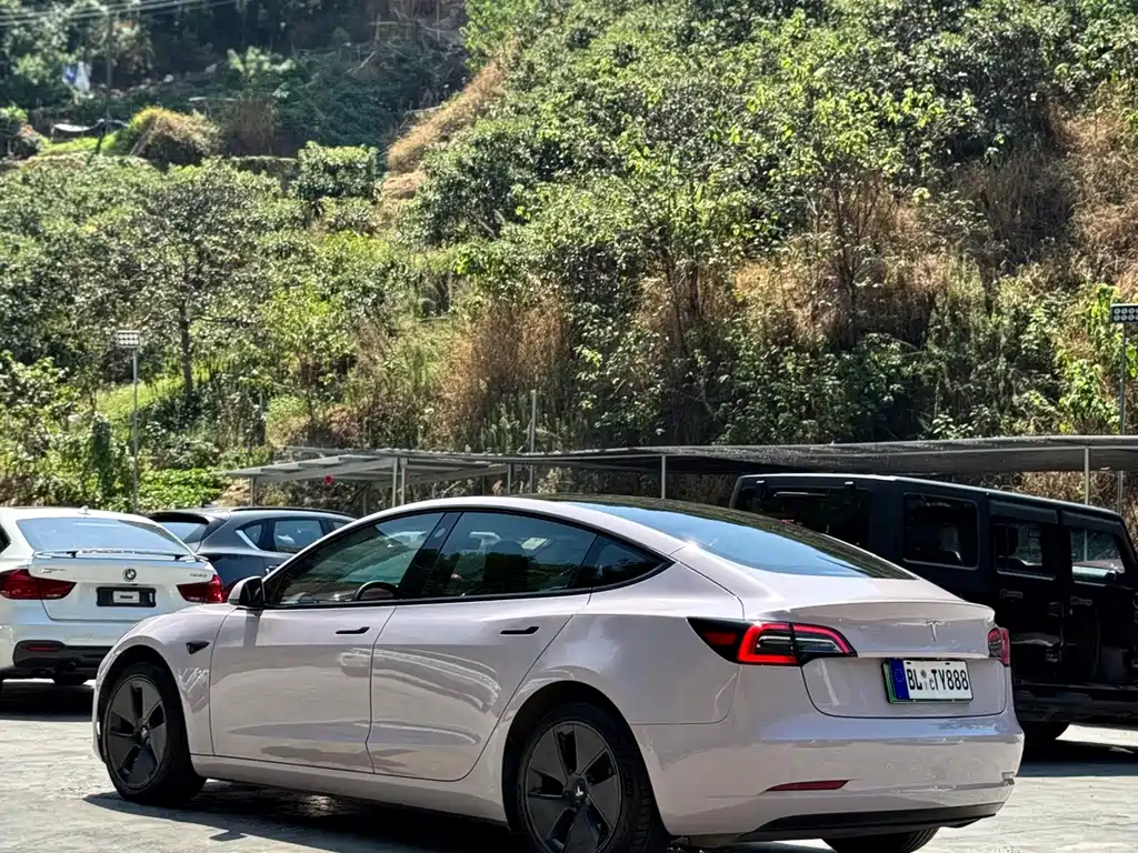 Tesla Model 3 — миниатюра 13