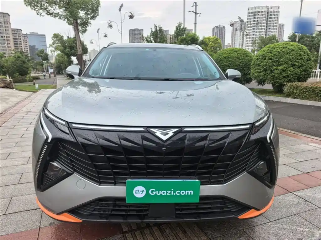 Cowin Kunlun — миниатюра 3
