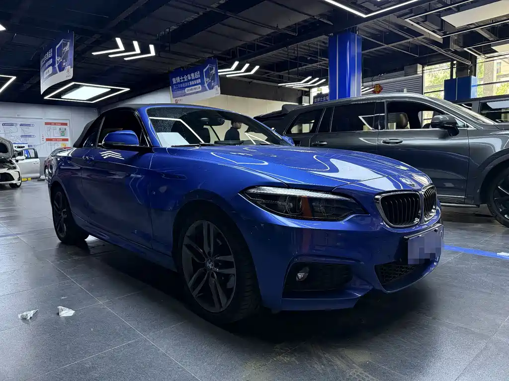BMW 2 Series 2 2018 225i M Sport