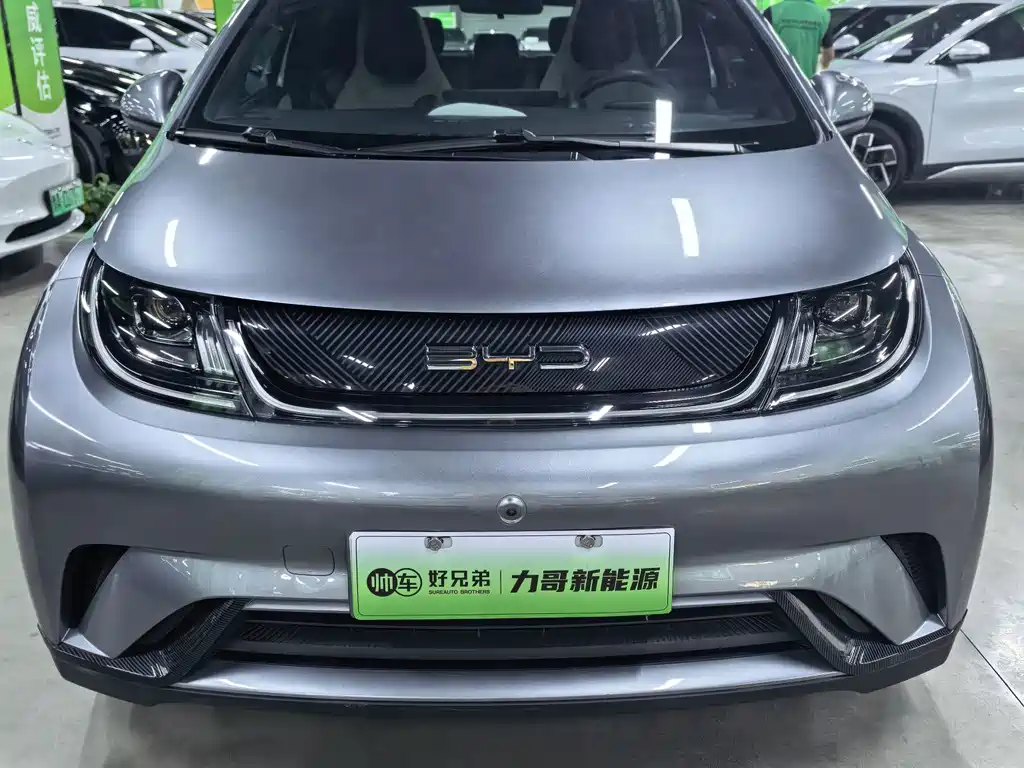 BYD Dolphin — миниатюра 2