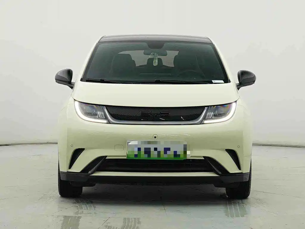 BYD Dolphin — миниатюра 3