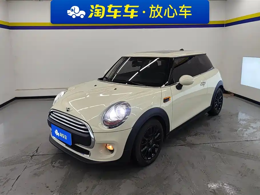 Mini Mini 2018
