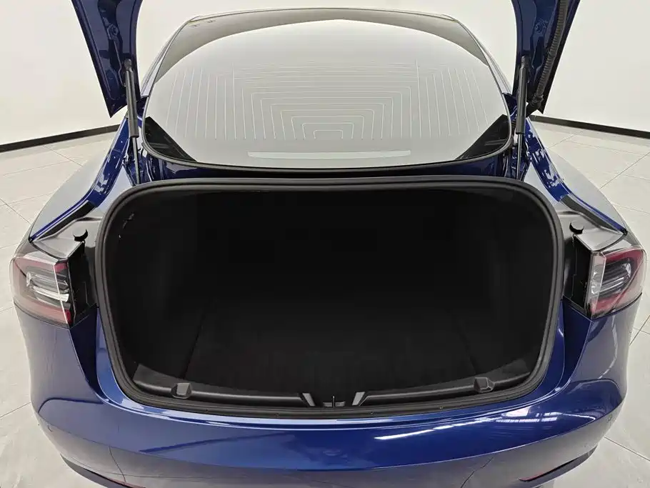 Tesla Model 3 — миниатюра 4
