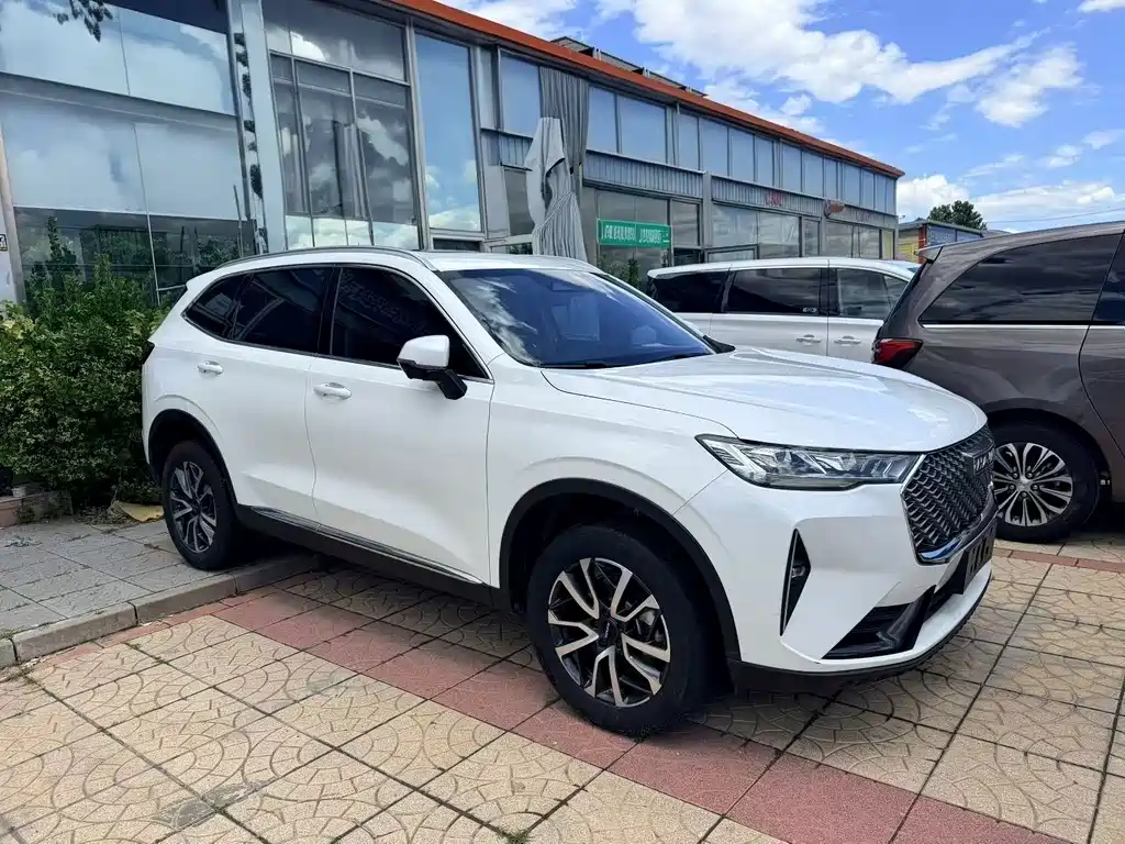 Haval H6 — миниатюра 2