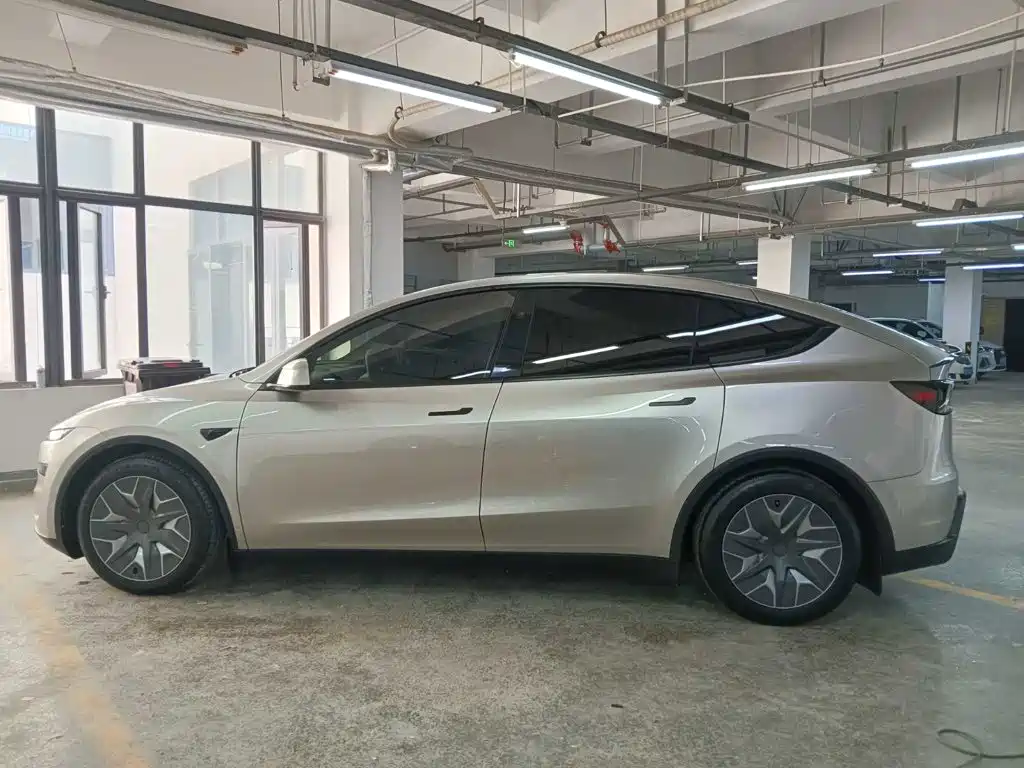 Tesla Model Y L — миниатюра 3
