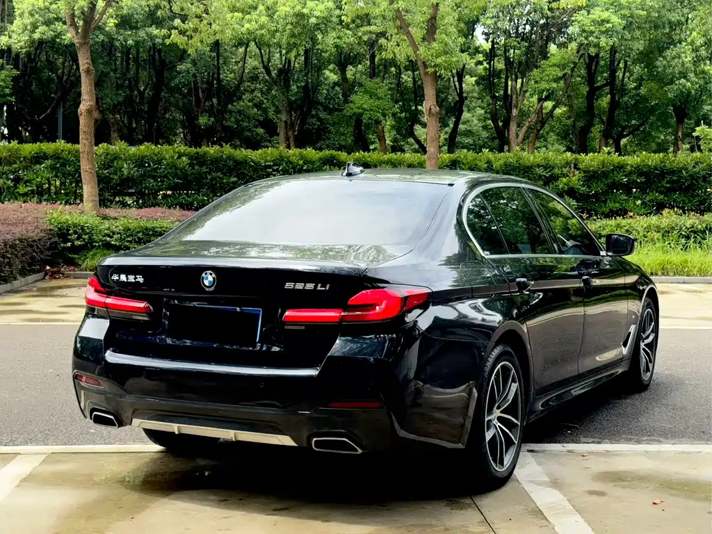 BMW 5 Series — миниатюра 11