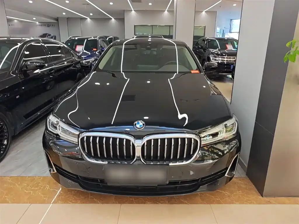 BMW 5 Series 5 2021 525Li Luxury