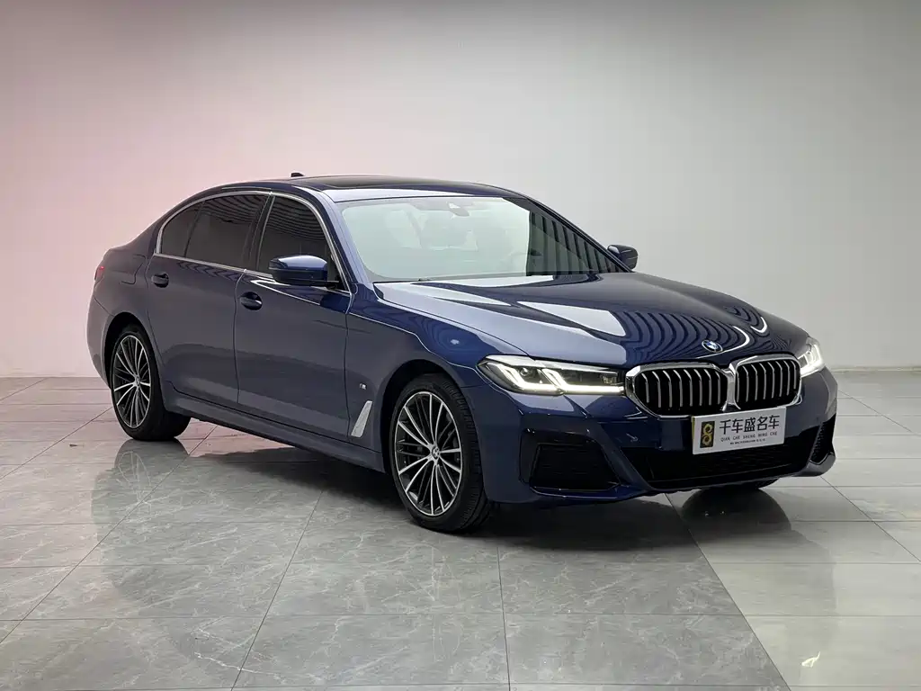 BMW 5 Series — миниатюра 3
