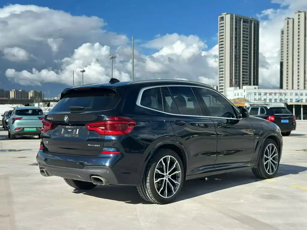 BMW X3 — миниатюра 7