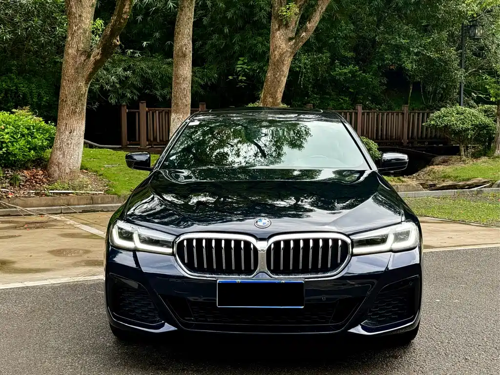 BMW 5 Series — миниатюра 2