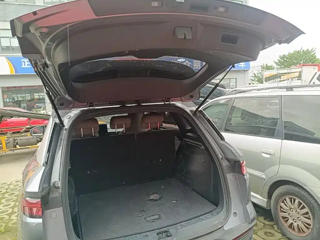 BYD Pro New Energy — миниатюра 19