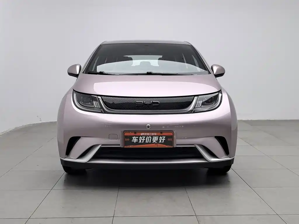 BYD Dolphin — миниатюра 3