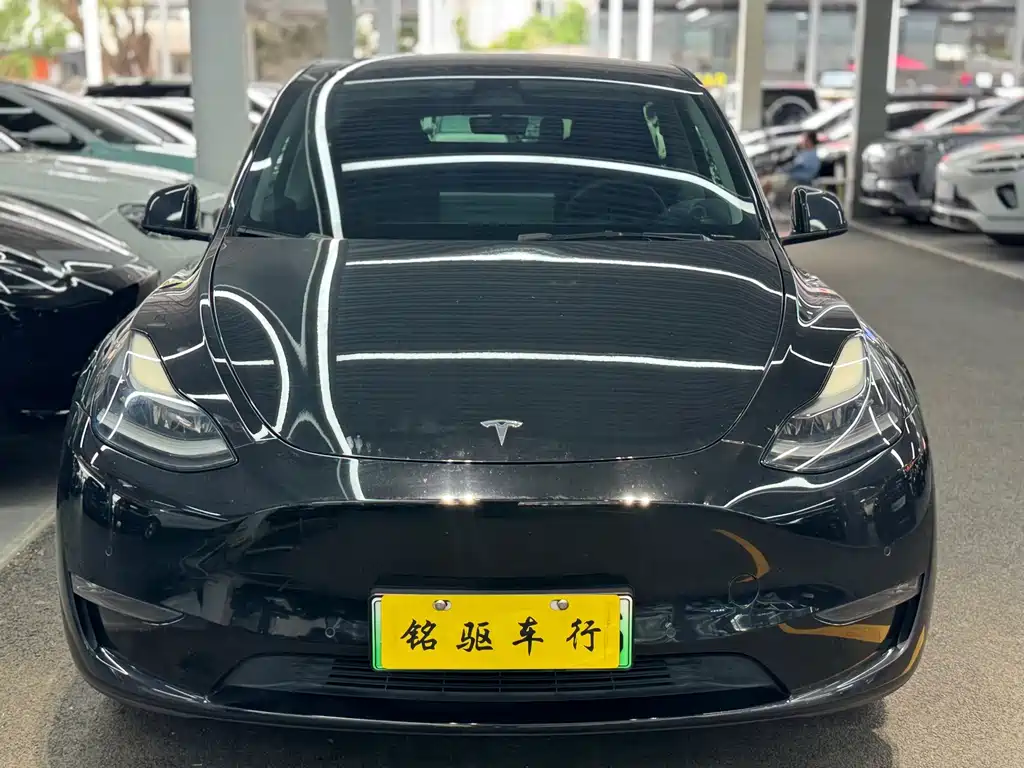 Tesla Model Y — миниатюра 2