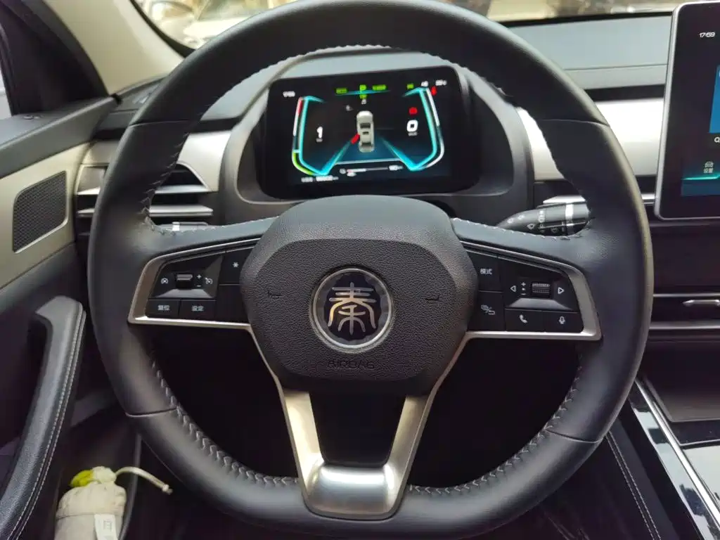 BYD Qin Pro NEV — миниатюра 3