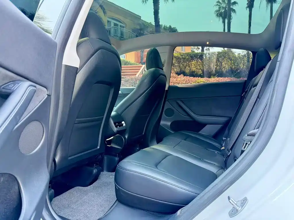 Tesla Model Y — миниатюра 6