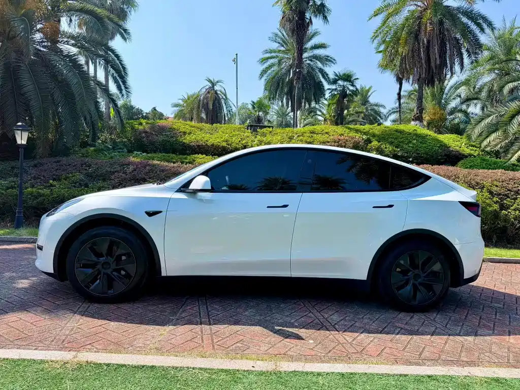 Tesla Model Y — миниатюра 7