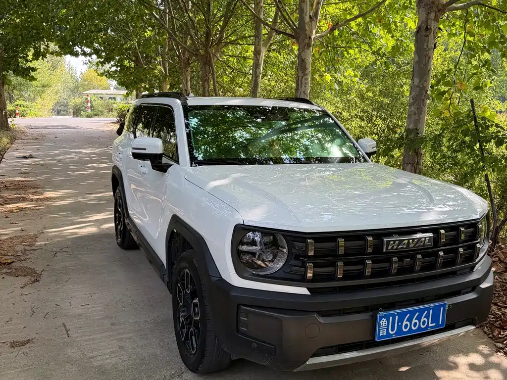 Haval Cool Dog — миниатюра 3