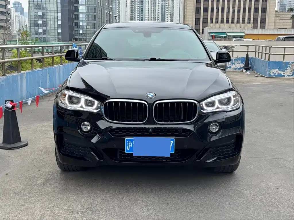 BMW X6 2019