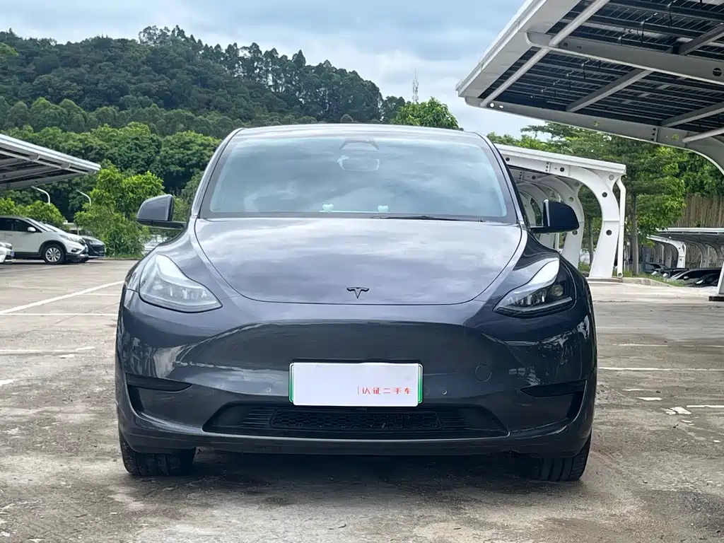 Tesla Model Y — миниатюра 2