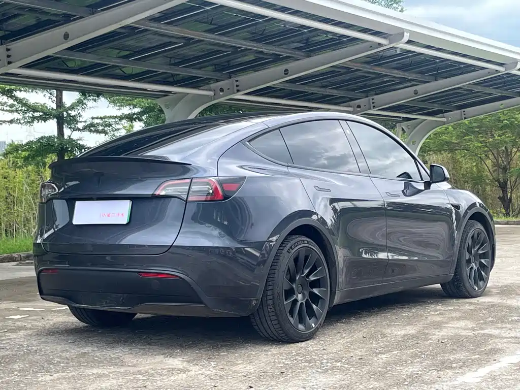 Tesla Model Y — миниатюра 5