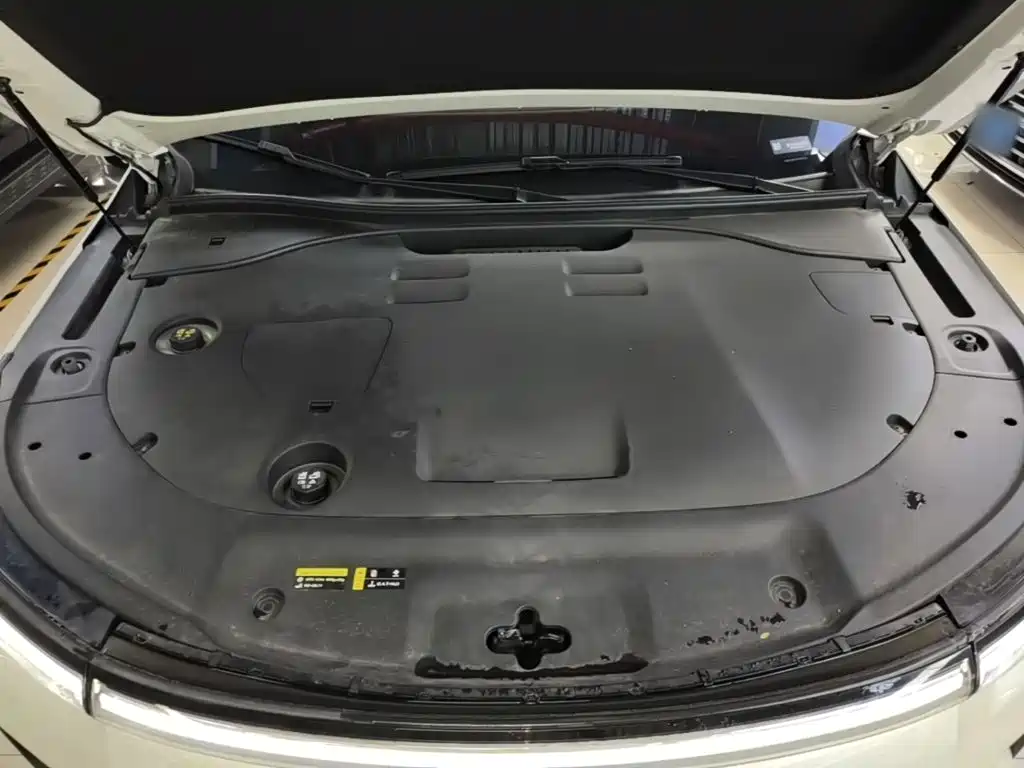 GAC Motor Trumpchi Xiangwang S9 — миниатюра 20