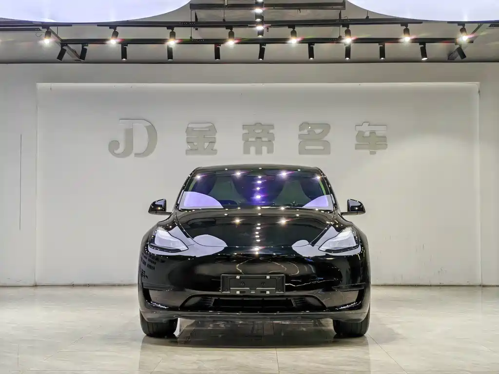 Tesla Model Y — миниатюра 2