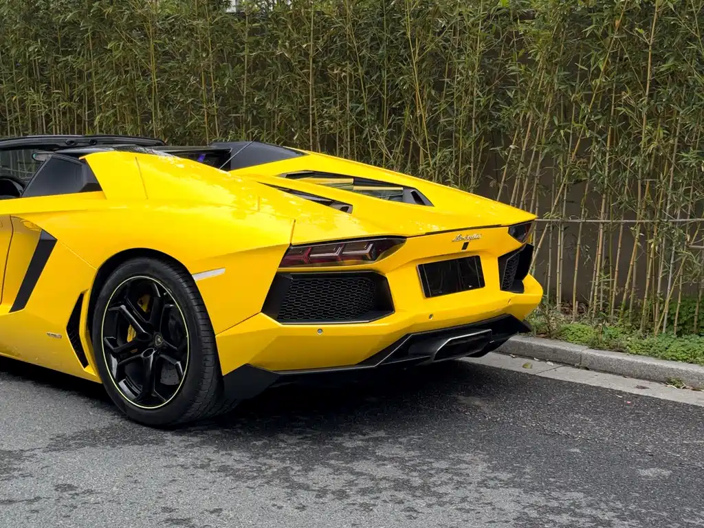 Lamborghini Aventador 2013 LP 700-4 Roadster