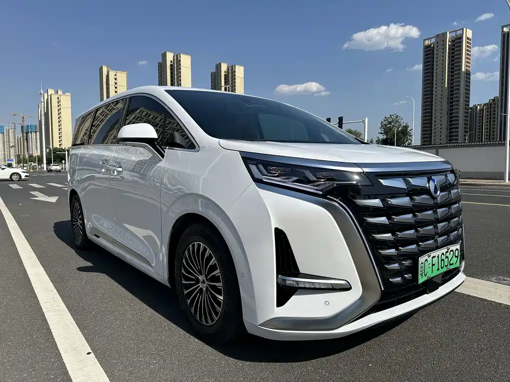 Denza Denza D9 — миниатюра 3