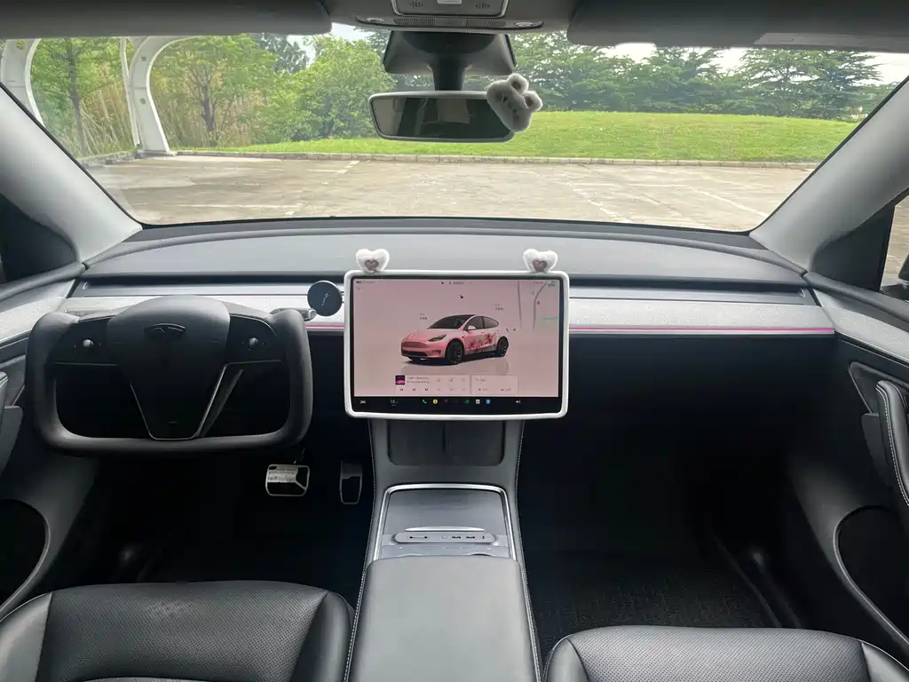 Tesla Model Y — миниатюра 14