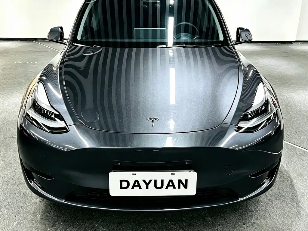 Tesla Model Y — миниатюра 2