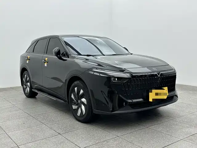 Venucia V DD-i 2023 110km iE