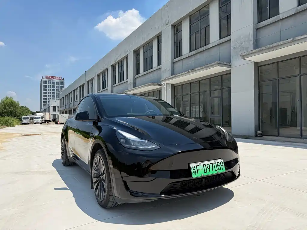 Tesla Model Y — миниатюра 3