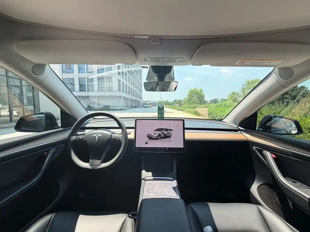 Tesla Model Y — миниатюра 5