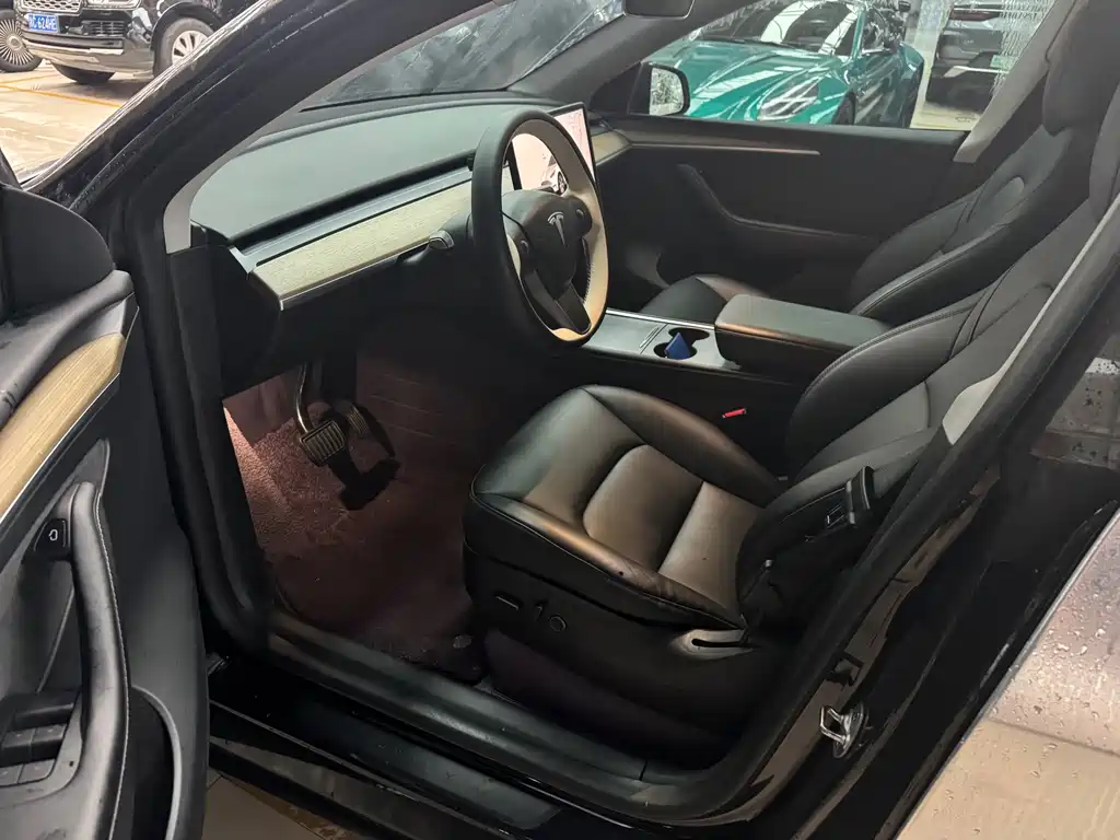 Tesla Model Y — миниатюра 4